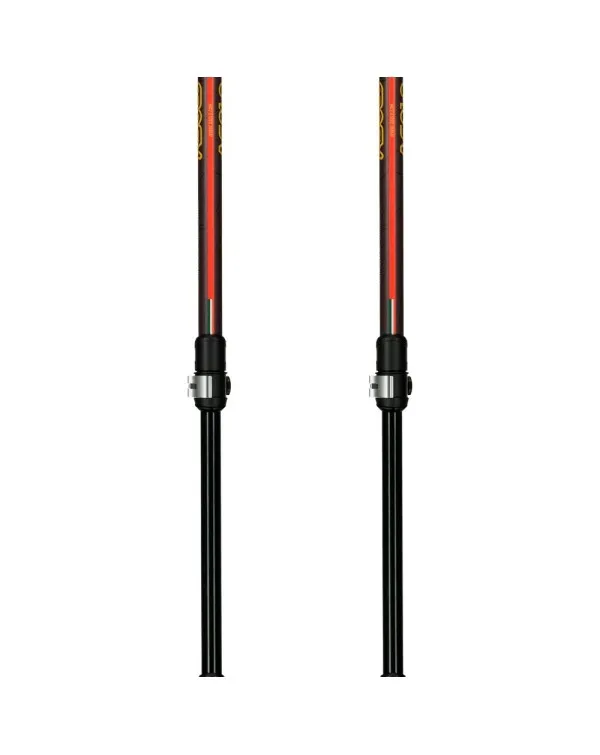 2 bastones ASOLO aspe QL roundhead mid