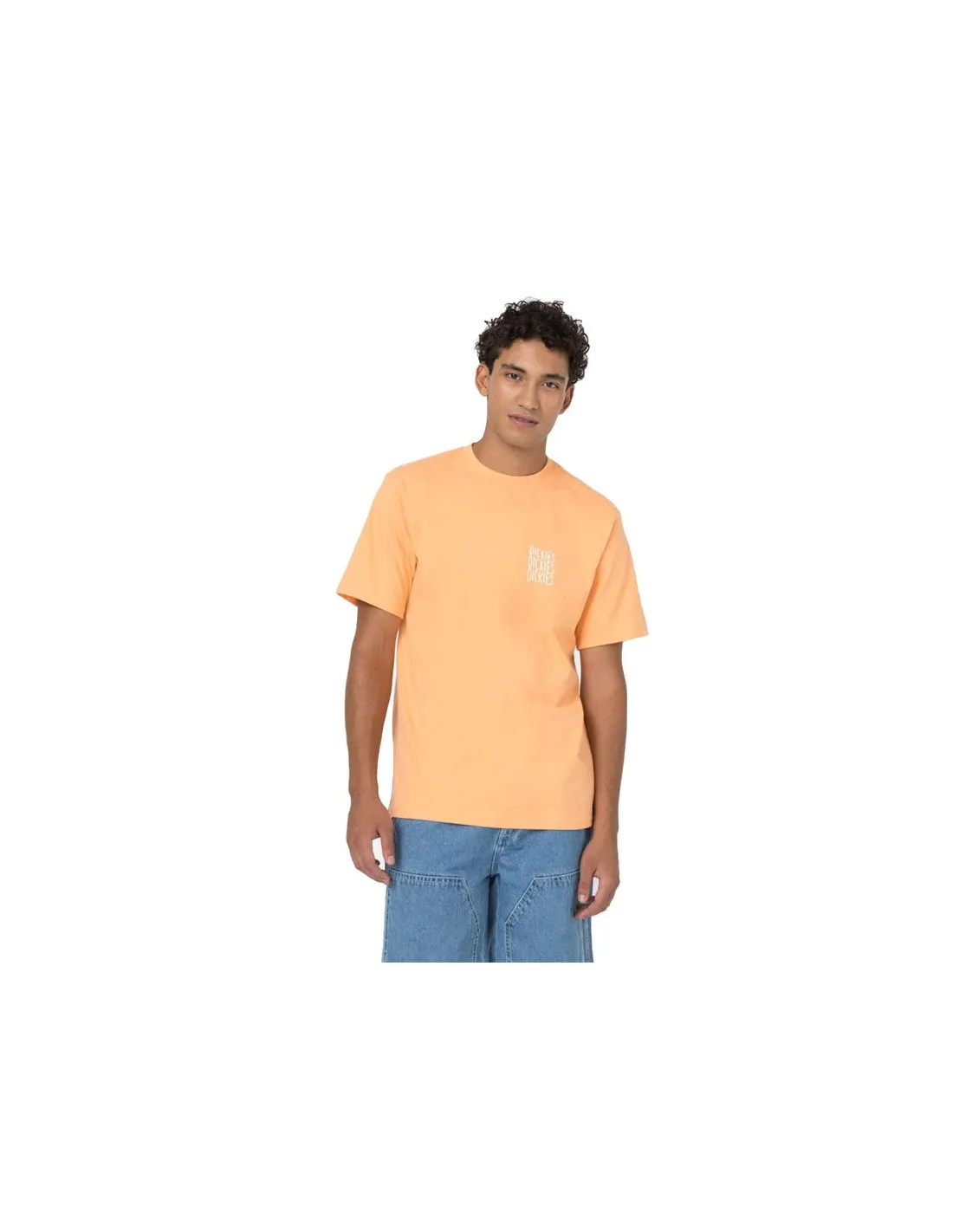 Camiseta Dickies Creswell Papaya Hombre