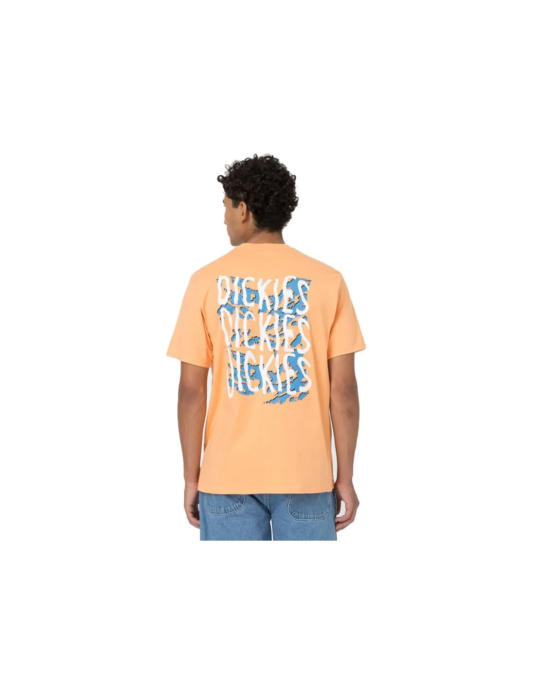 Camiseta Dickies Creswell Papaya Hombre