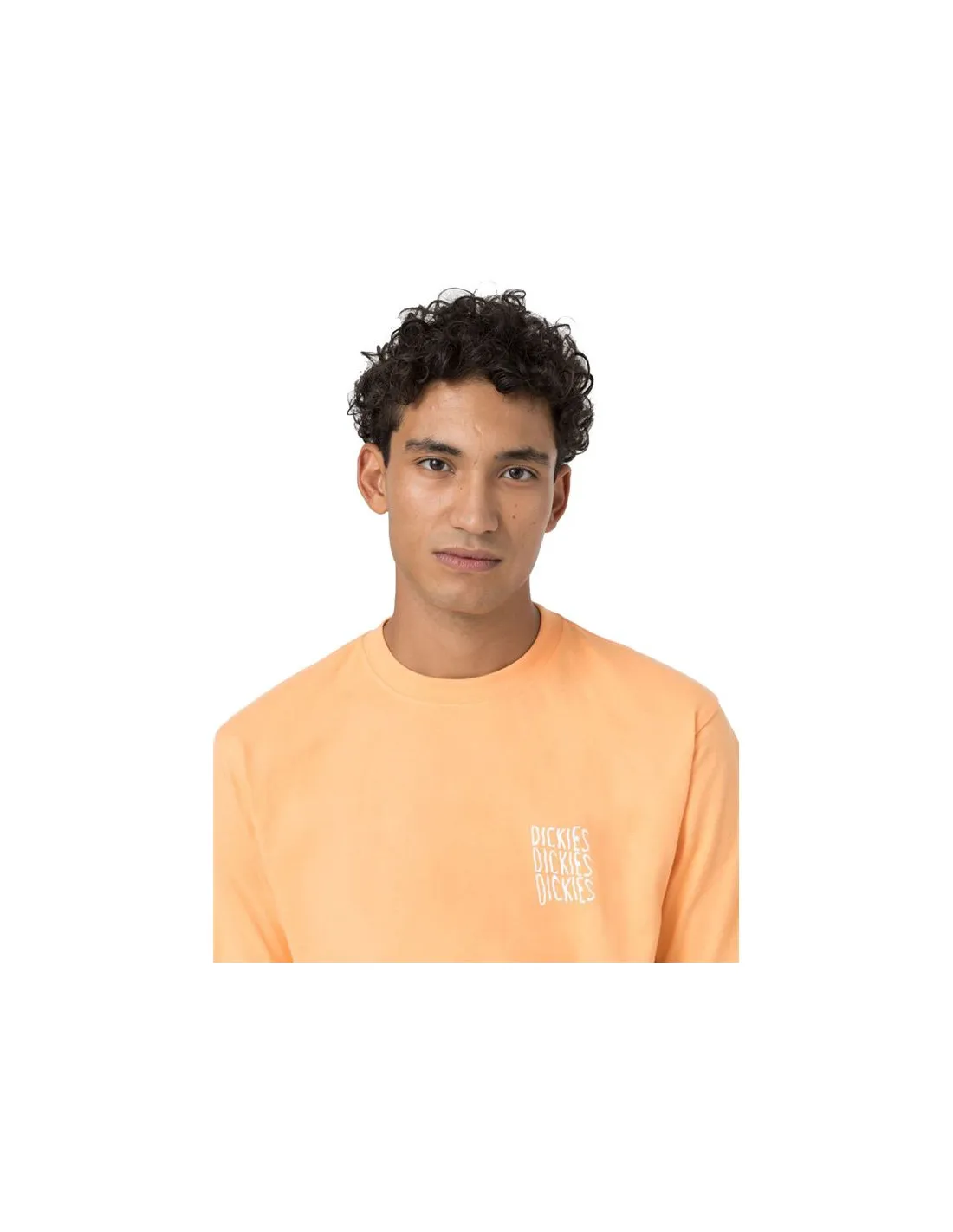 Camiseta Dickies Creswell Papaya Hombre