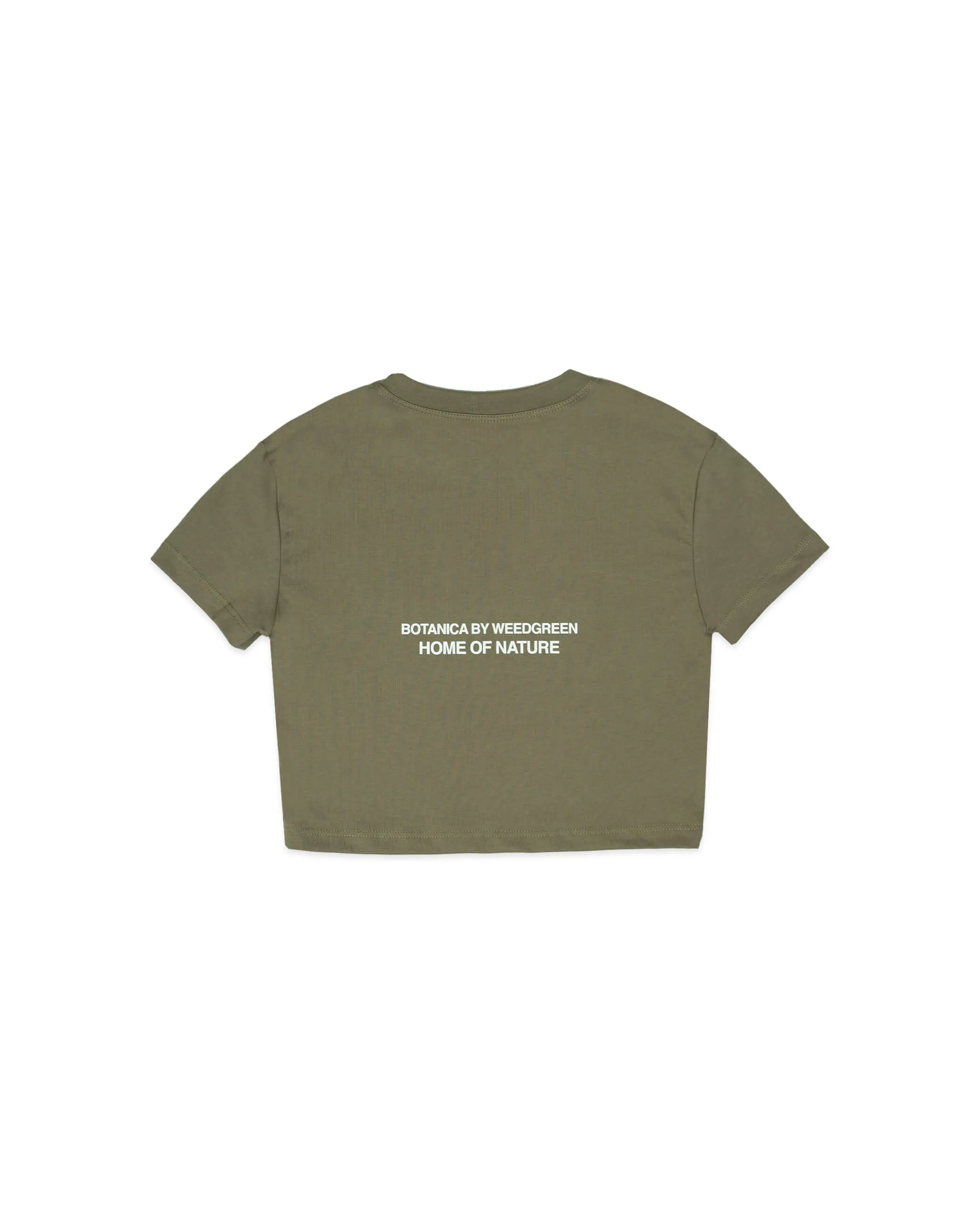 CAMISETA GRAPHIC TEE AGUILA verde