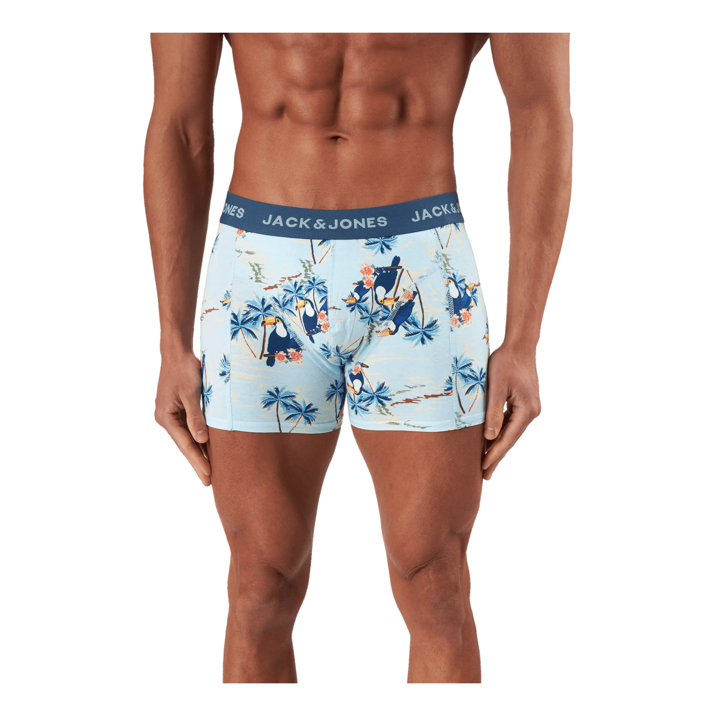 Jack & Jones Jactropic Pineapple Trunks 3 P Slate Rose