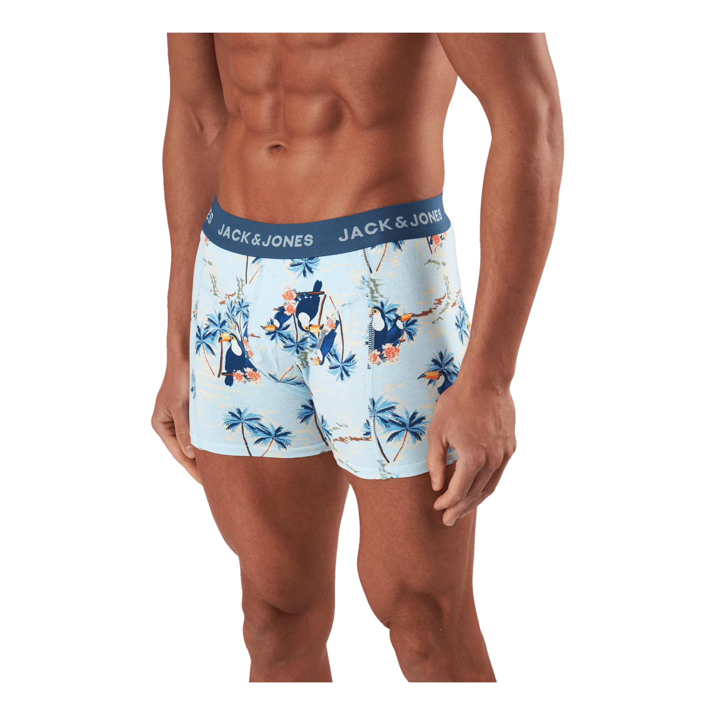 Jack & Jones Jactropic Pineapple Trunks 3 P Slate Rose