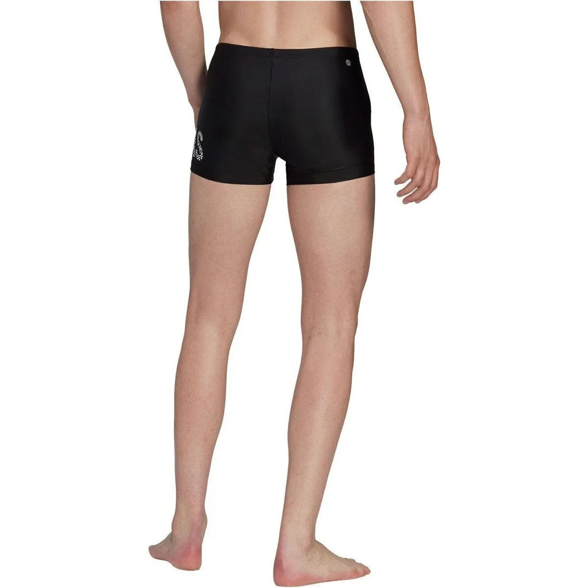 LINEAGE BOXER