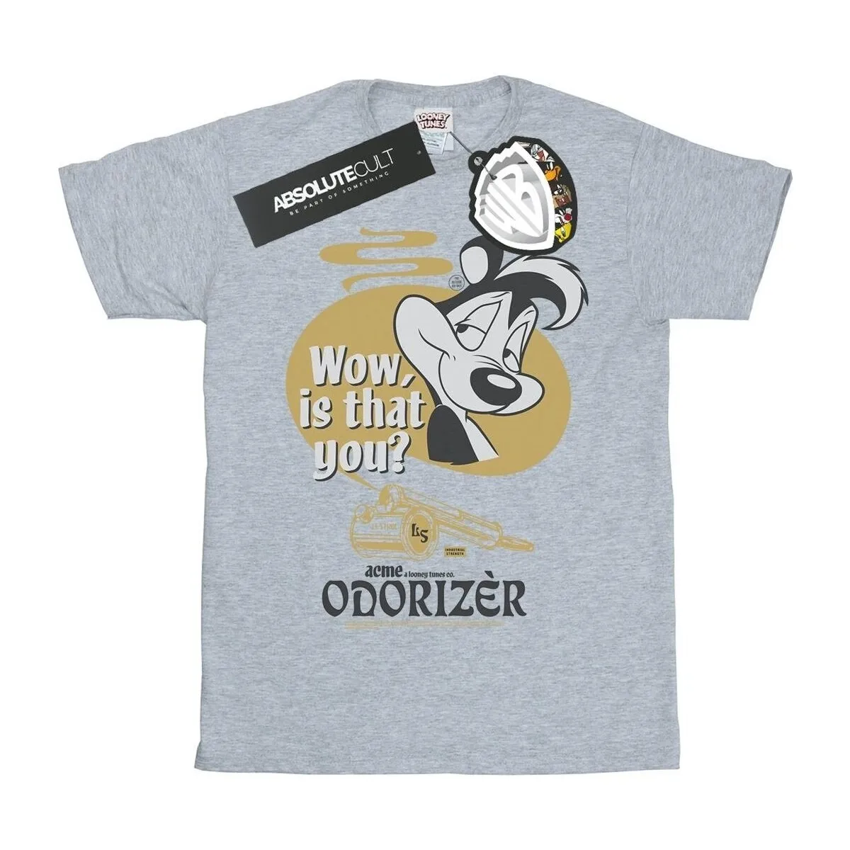 Odorizer
