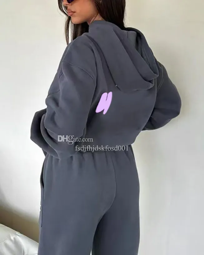 SOBRE DE PISTAS MUJERES CONEDIADA MUJERES 2 piezas Conjunto de sudadera con sudadera con capucha de manga de manga larga deporti