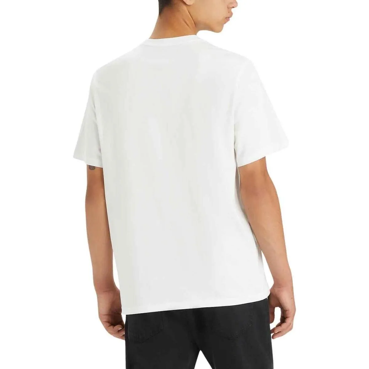SS RELAXED FIT TEE LEVI WATERFALL