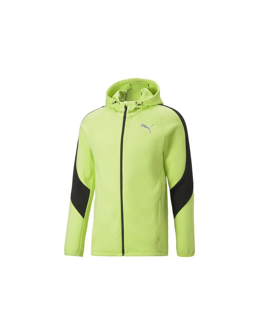Sudadera Puma Evostripe Hombre Green