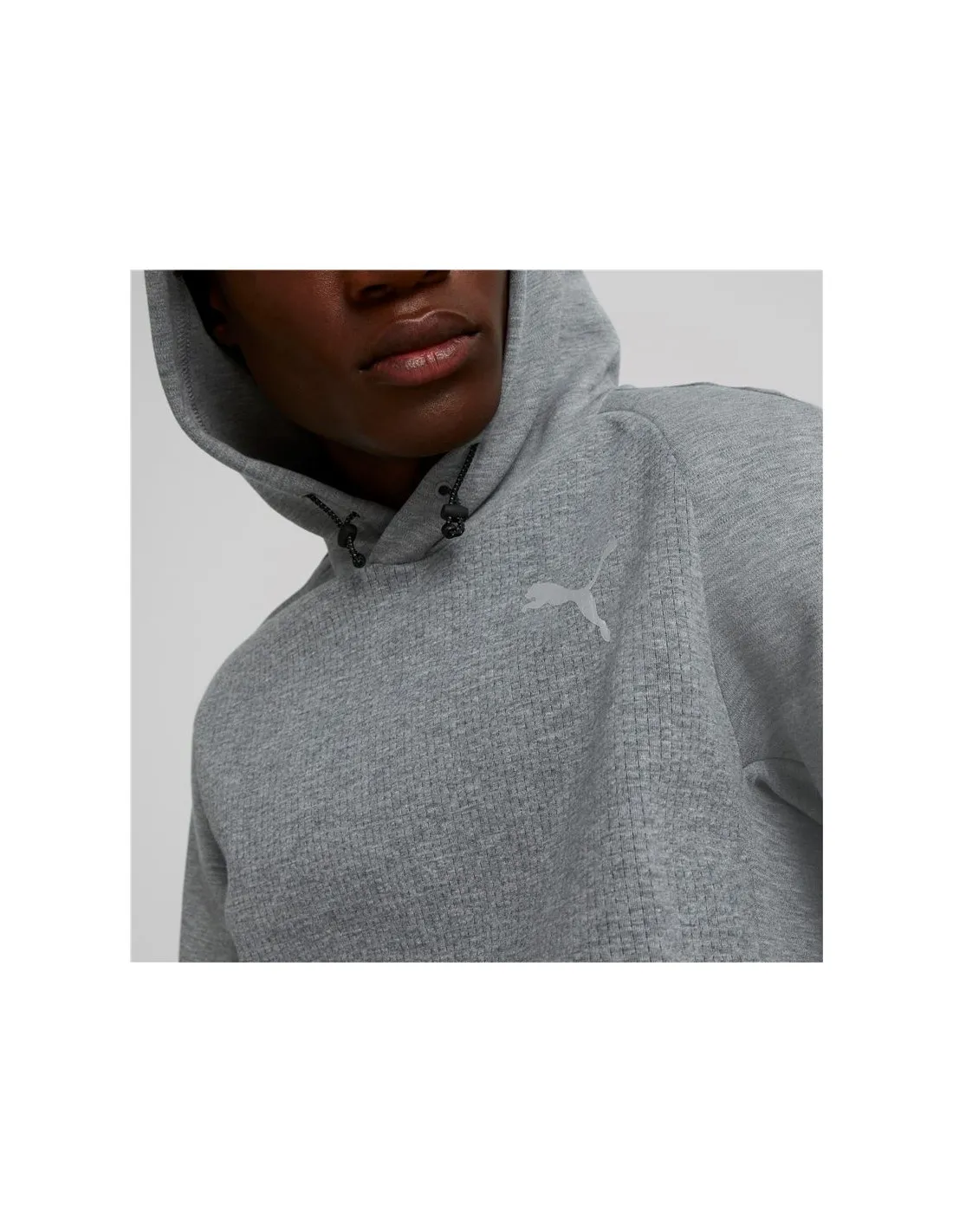 Sudadera Puma Evostripe Hombre Grey