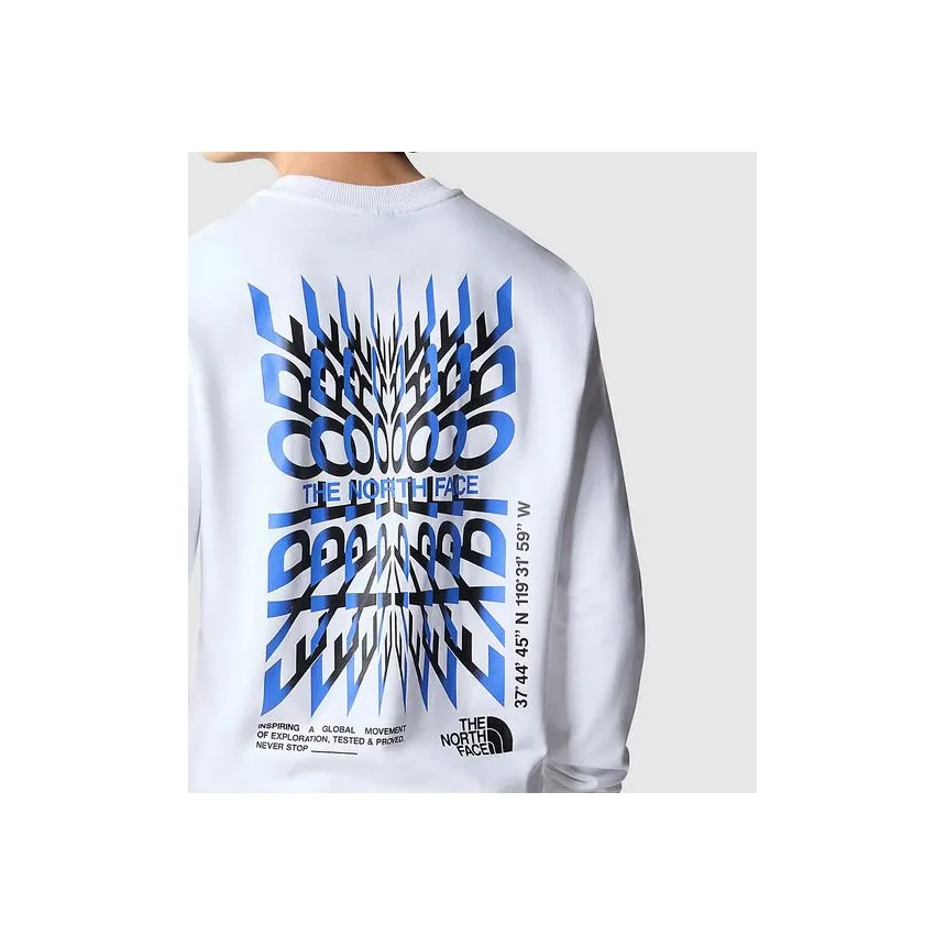 Sudadera The North Face Coordinates Para Hombre