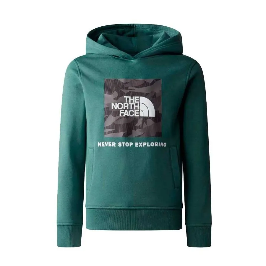 Sudadera The North Face Niño NF0A855BO241